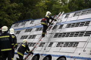 Árokba csúszott egy kamion a 68-as főúton