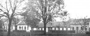otvosterkelet1