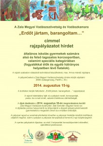 Rajzpályázatfelhívás2014új