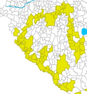 szúnyogbele
